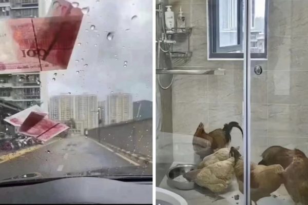 Gió bão Yagi "điên cuồng": Người dân Hải Nam Trung Quốc gồng mình chống chọi