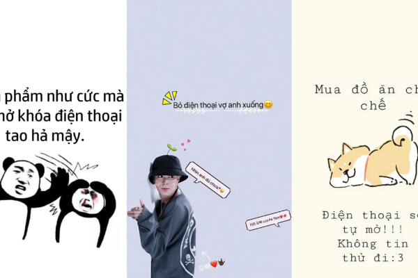 Hình nền hài hước: Món quà vui nhộn cho mỗi ngày của bạn