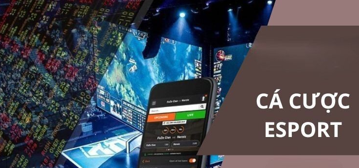 Giới thiệu về thể thao điện tử esports vn88