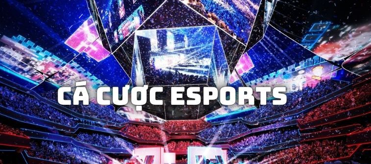 Các loại cược phổ biến nhất tại esports vn88
