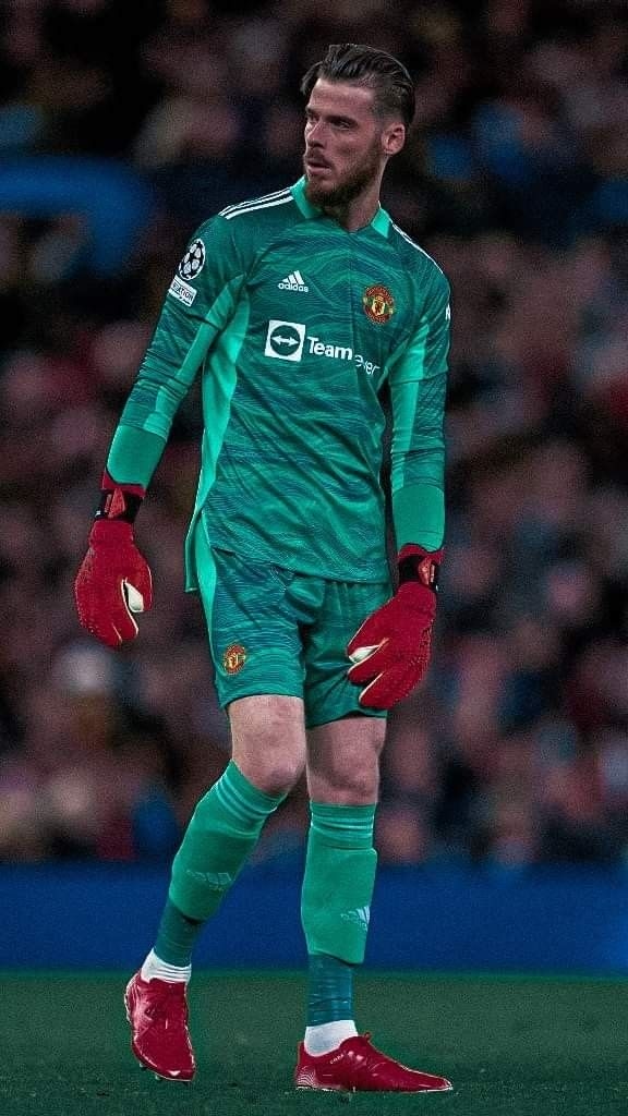 Hình nền De Gea đậm chất thủ môn