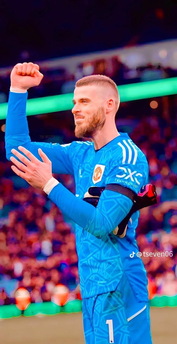 Hình nền De Gea phong cách thủ môn